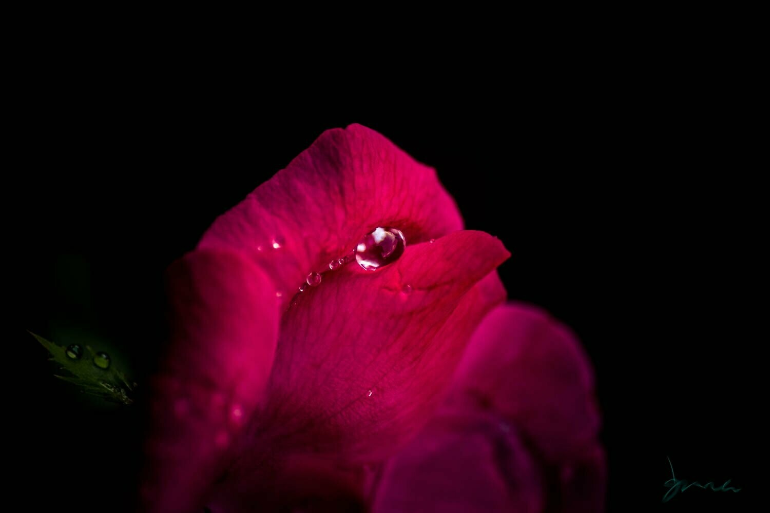 glitter ~ photography art multi-size wall decor print