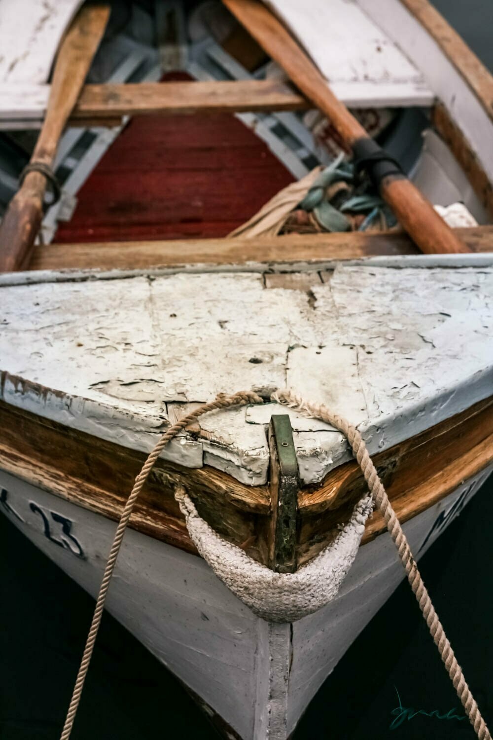 drifter ~ photography art multi-size wall decor print