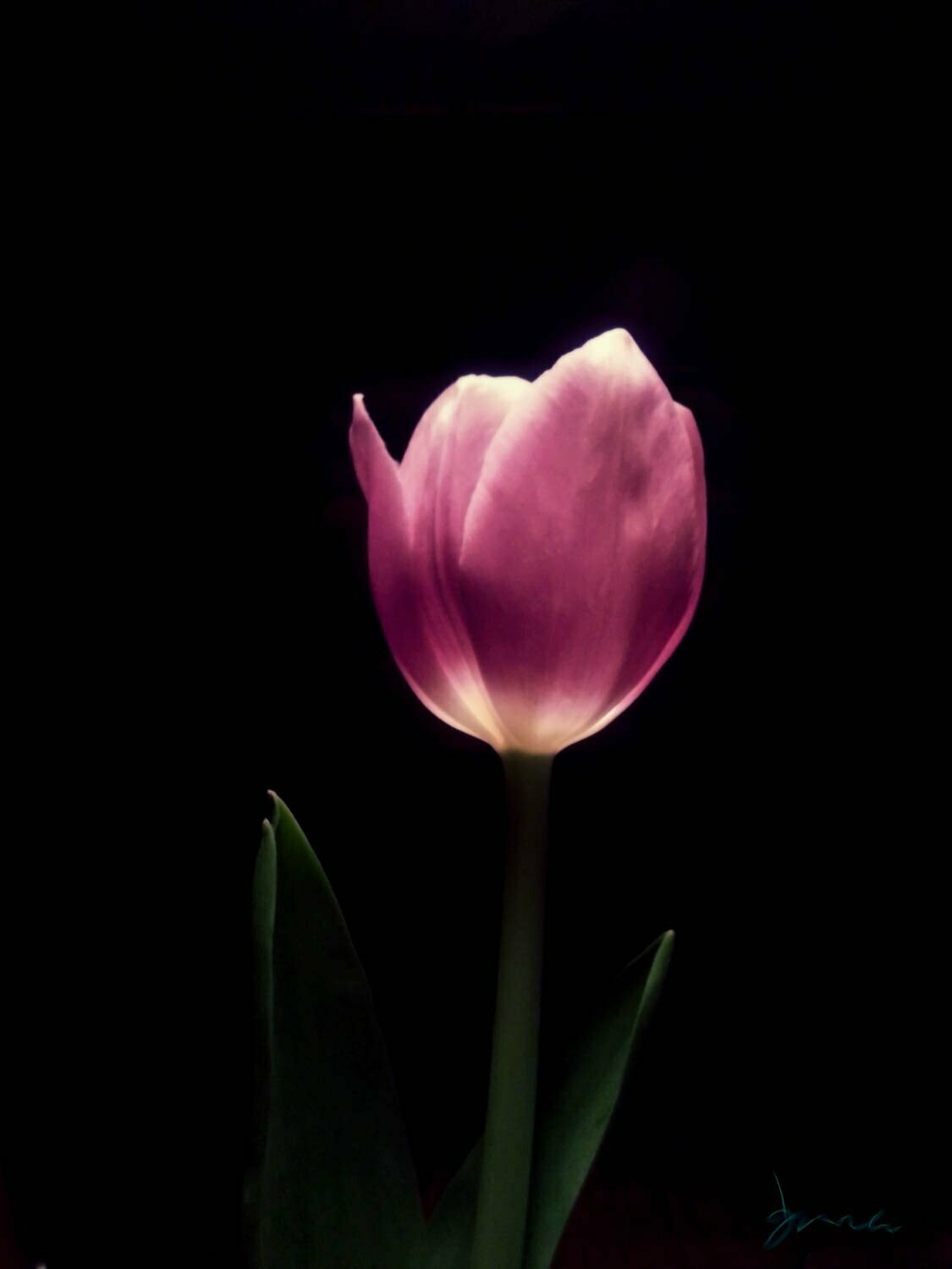 awareness ~ photography art multi-size wall decor print