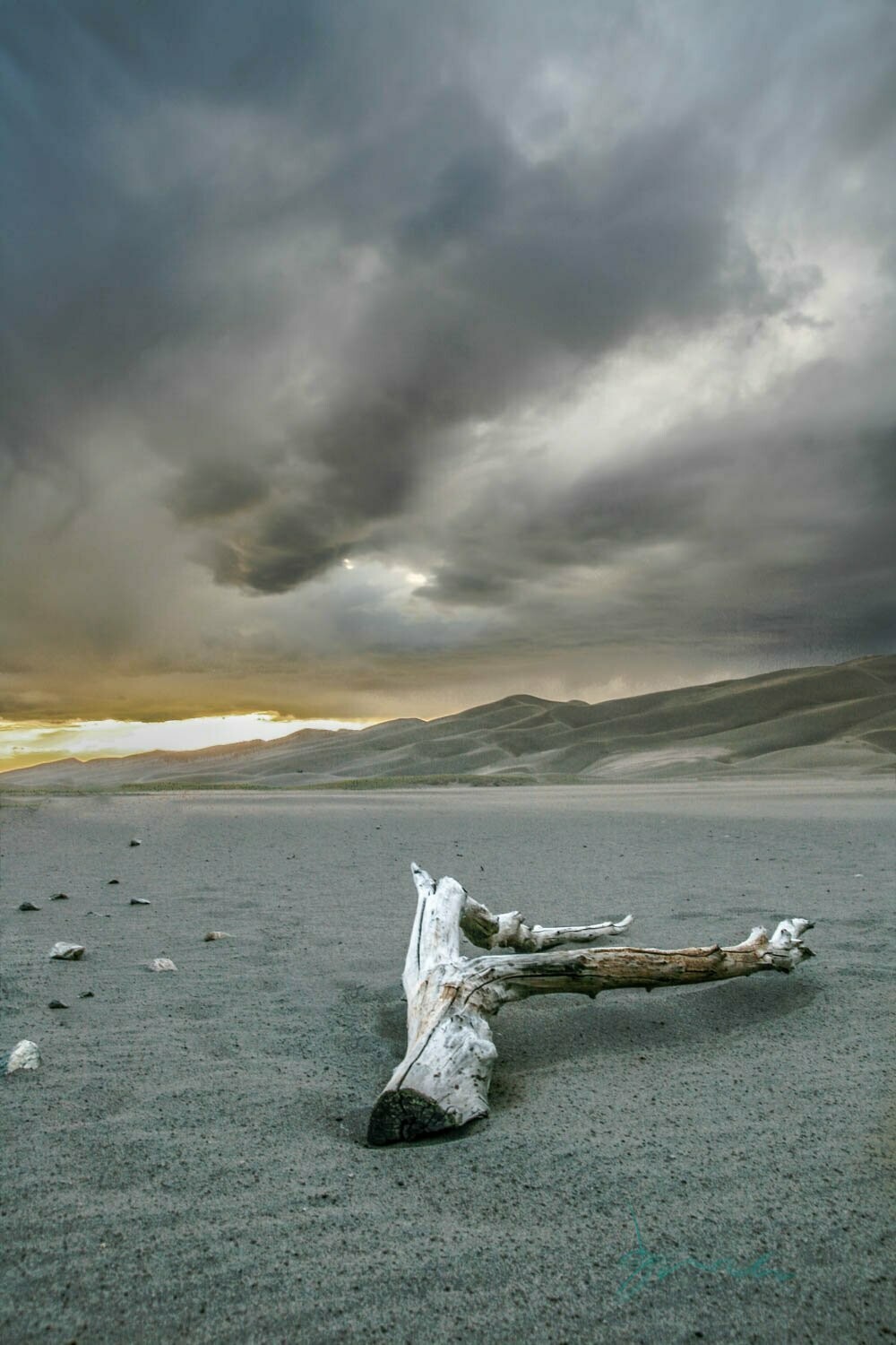 vanish tempest ~ photography art multi-size wall decor print