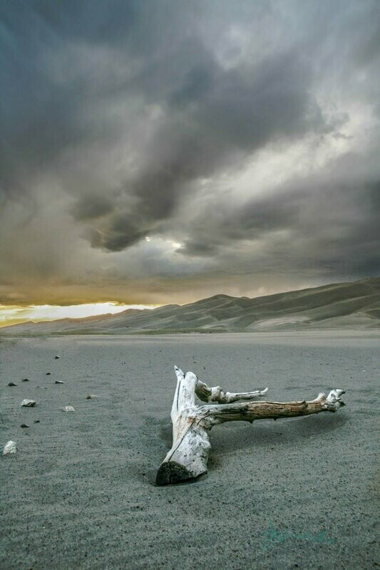 vanish tempest ~ photography art multi-size wall decor print