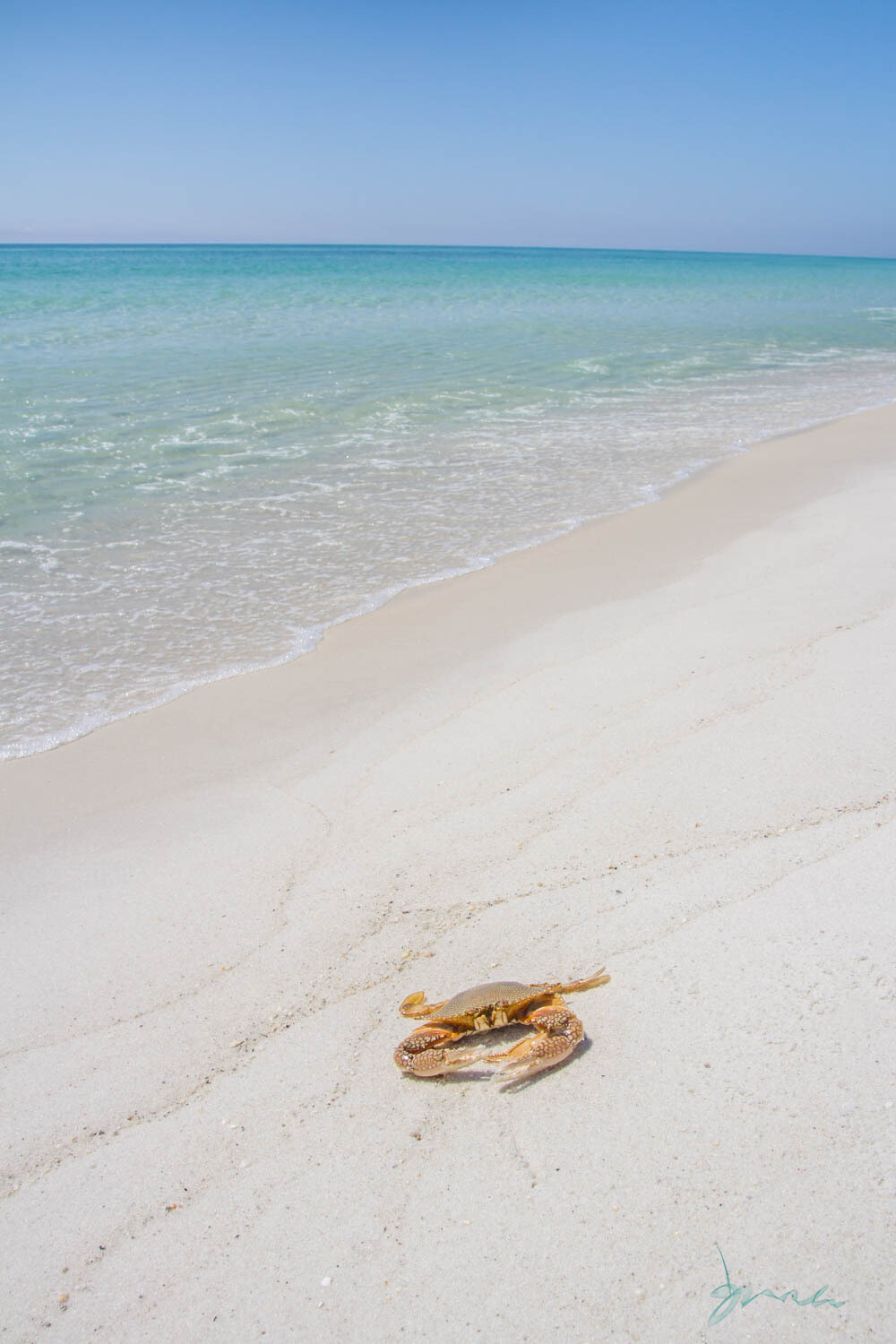 waveless ~ photography art multi-size wall decor print