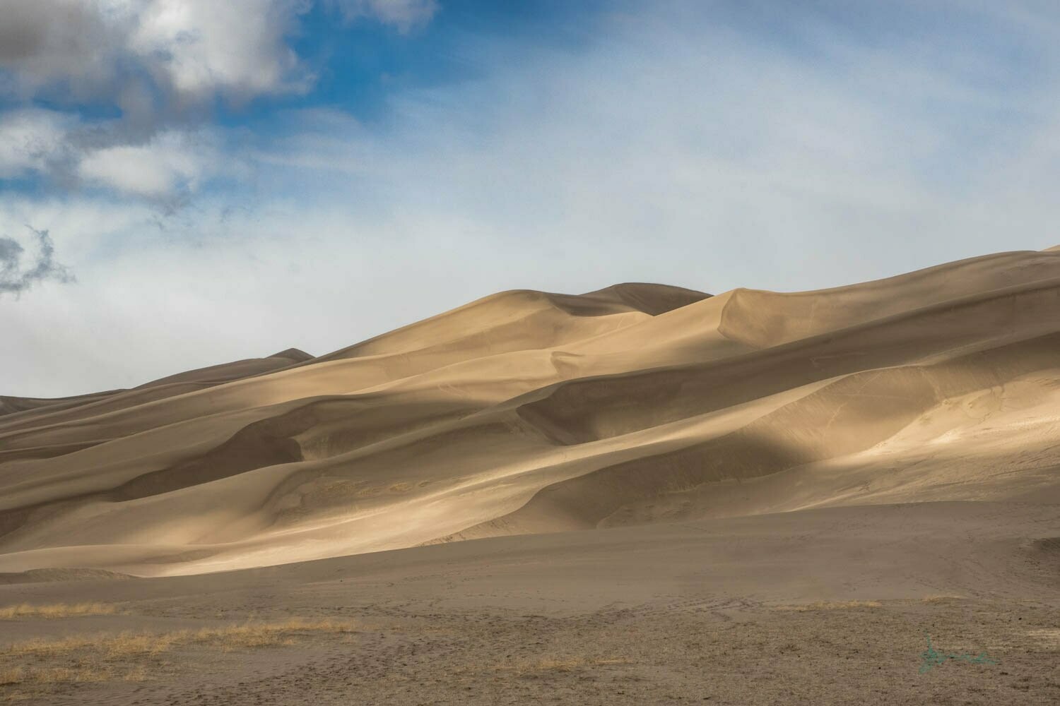 auspice ~ dunes photography art multi-size wall decor print