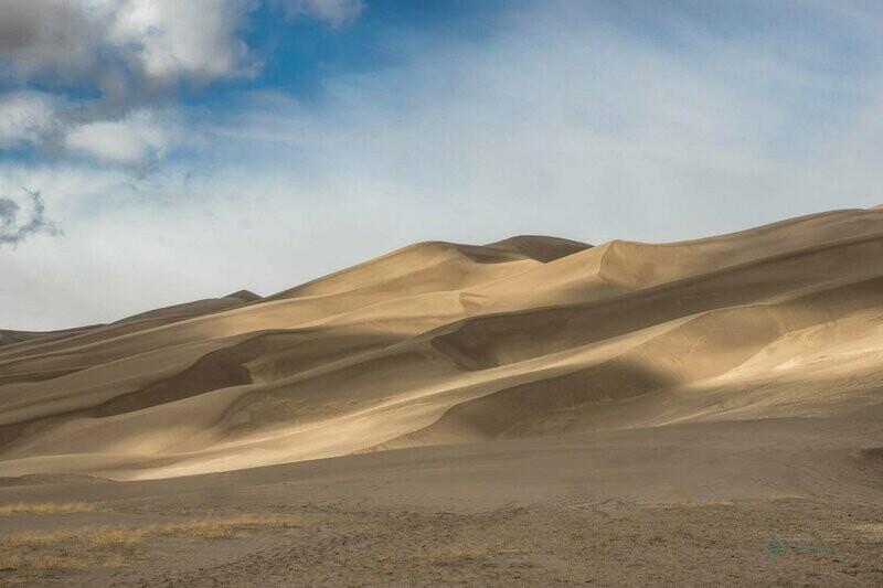 auspice ~ dunes photography art multi-size wall decor print