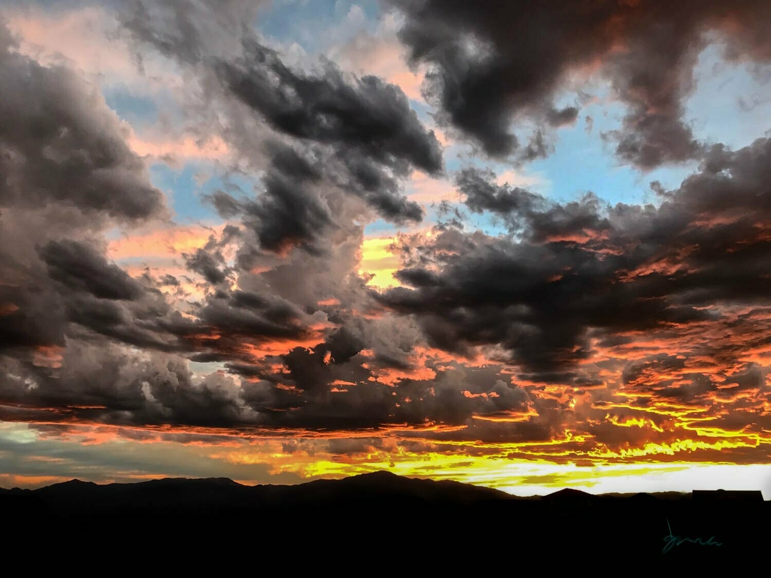 luminosity ~ photography art multi-size wall decor print