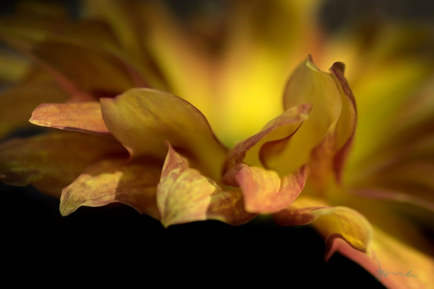 sustain ~ photography art multi-size wall decor print