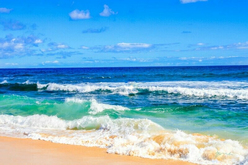 adventuress ~ beach photography art multi-size wall decor print