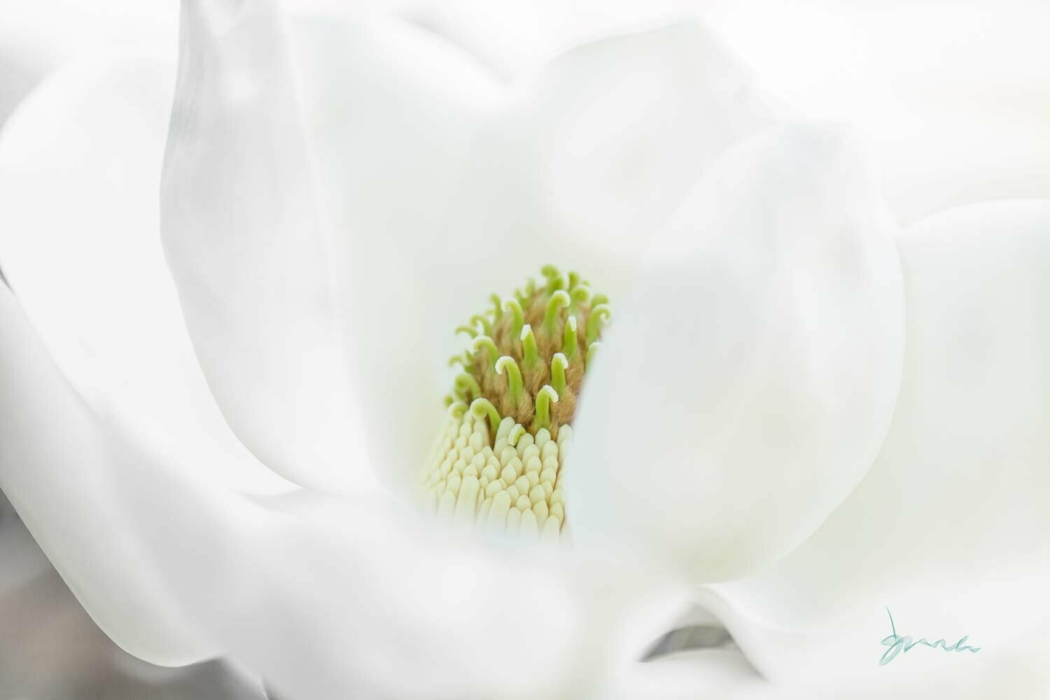 tacit ~ photography art multi-size wall decor print