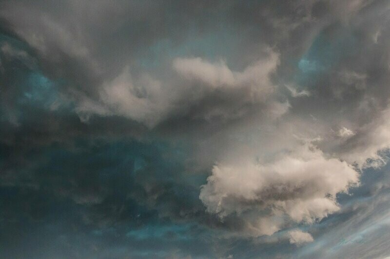 sinewy ~ photography art multi-size wall decor print