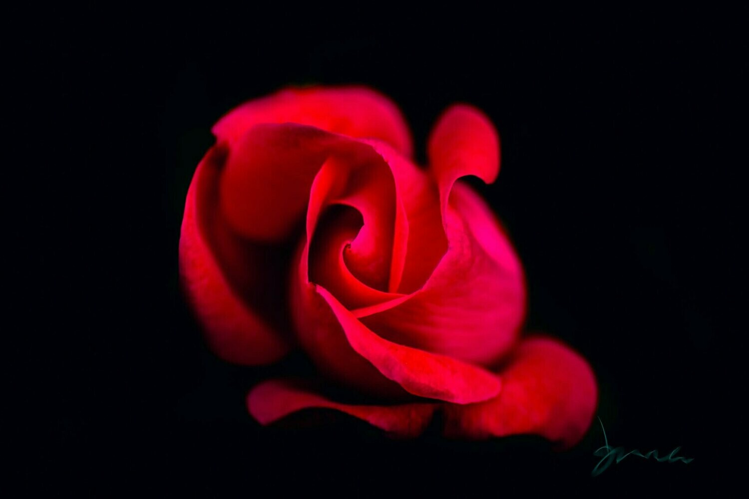 bias ~ photography art multi-size wall decor print