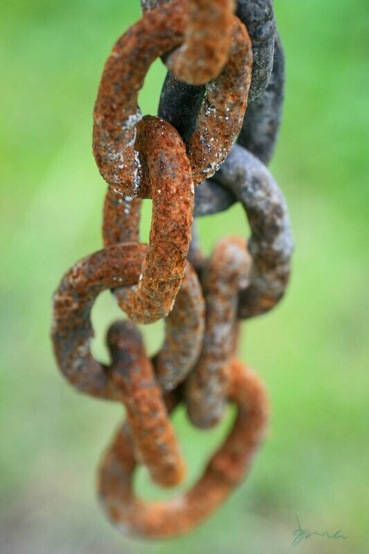 inured ~ photography art multi-size wall decor print