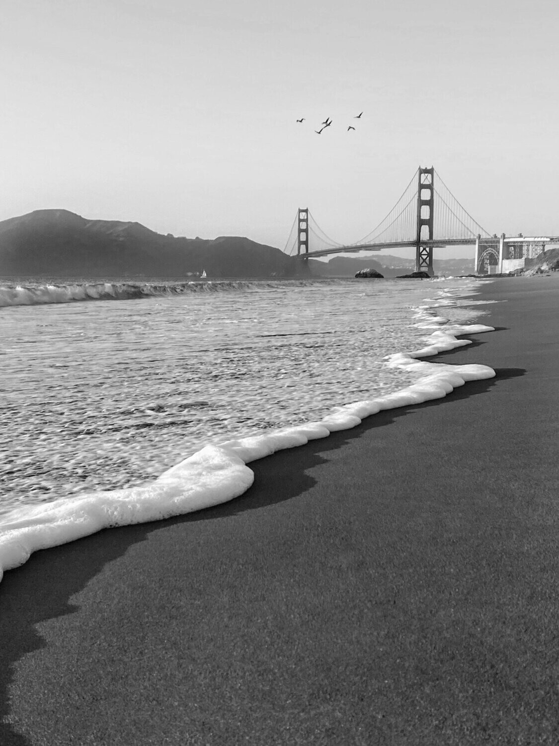 San Francisco BW photography art multi-size wall decor print