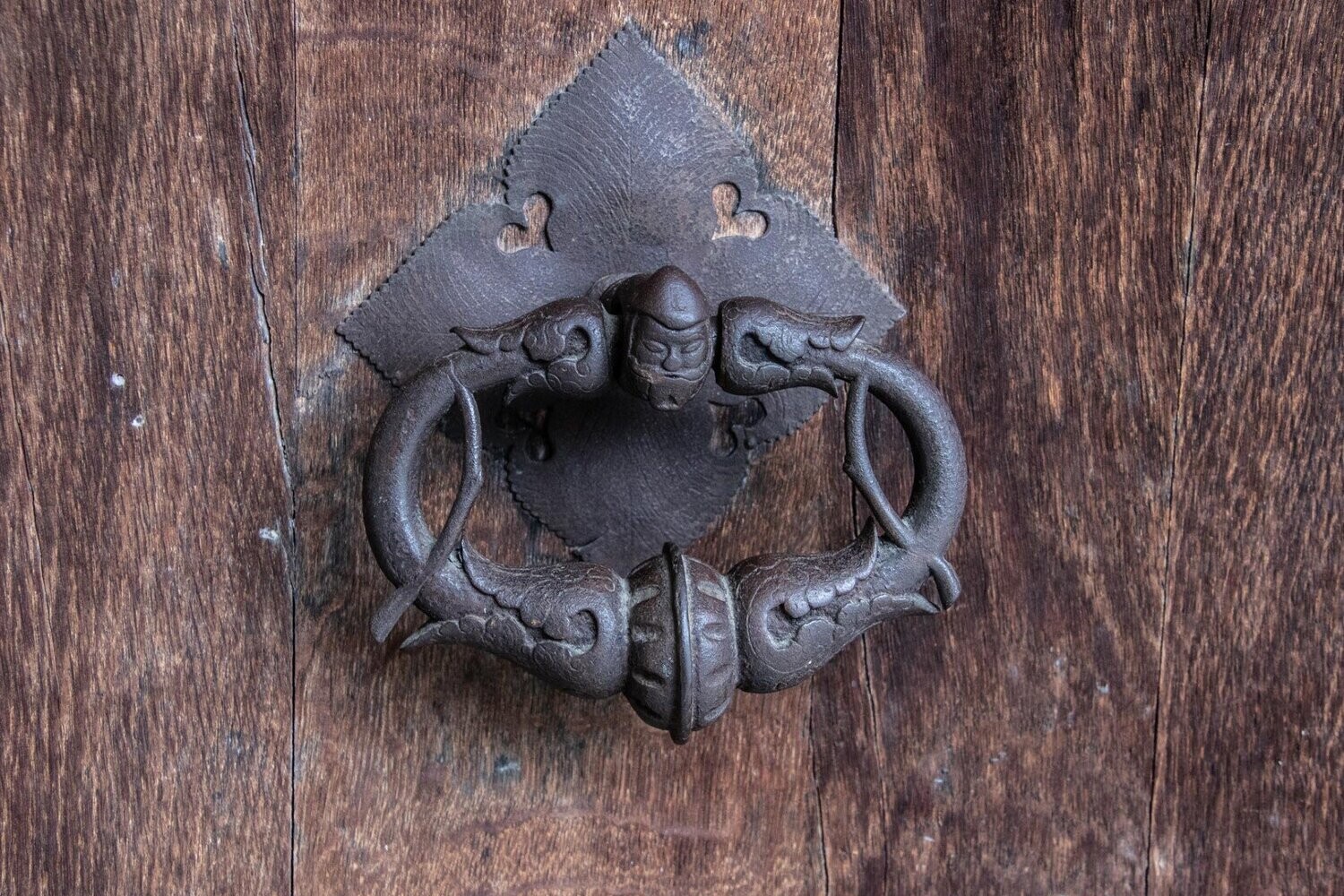celt ~ photography art multi-size wall decor print