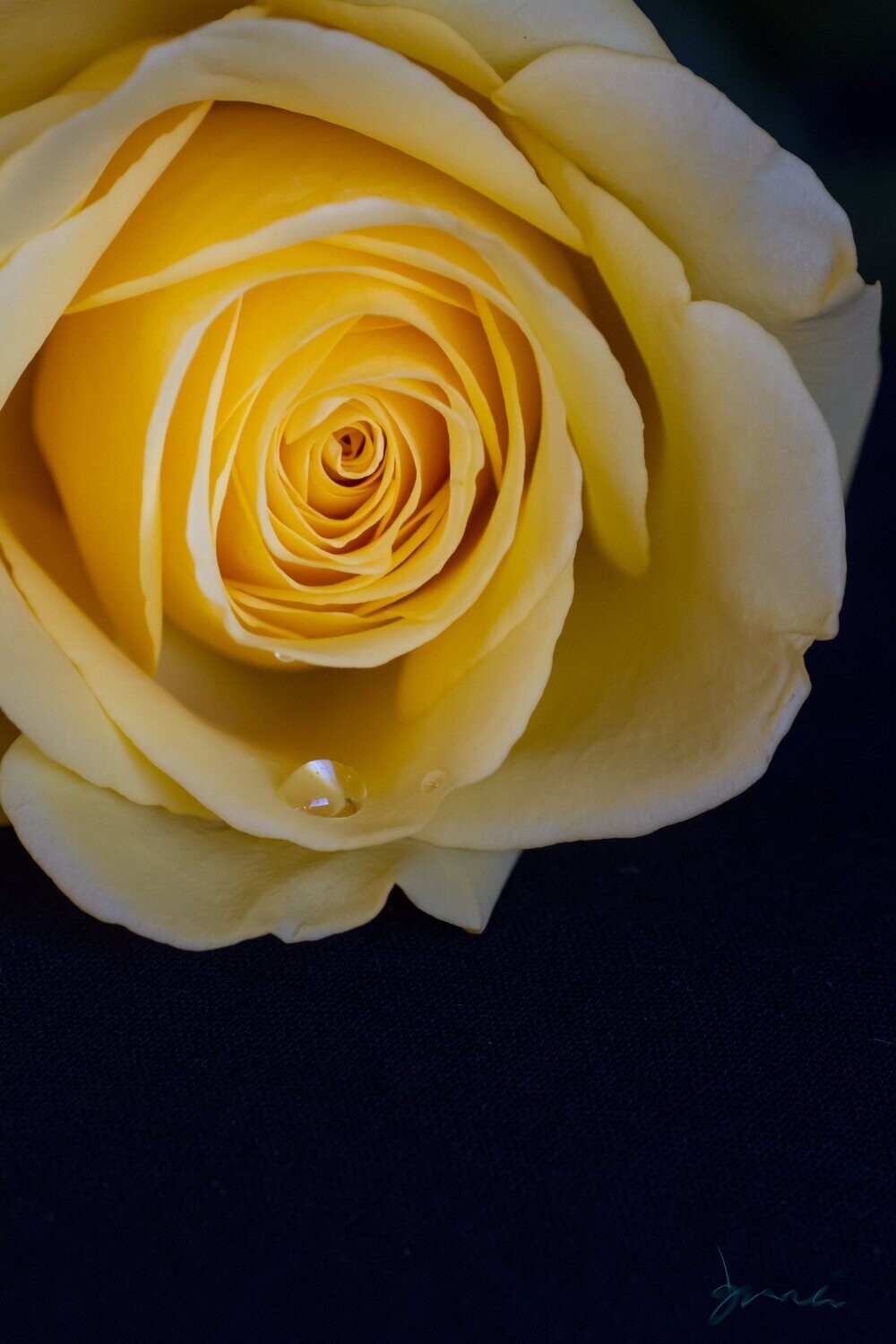obticeo ~ photography art multi-size wall decor print