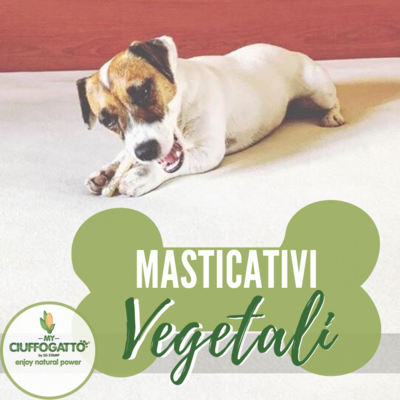 MASTICATIVI VEGETALI