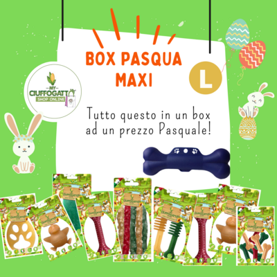 BOX PASQUALE