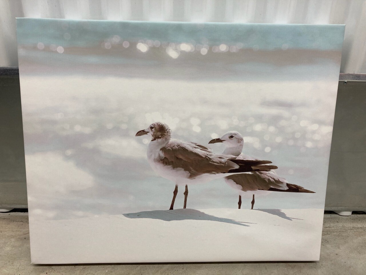 Seagulls, print on canvas #2314