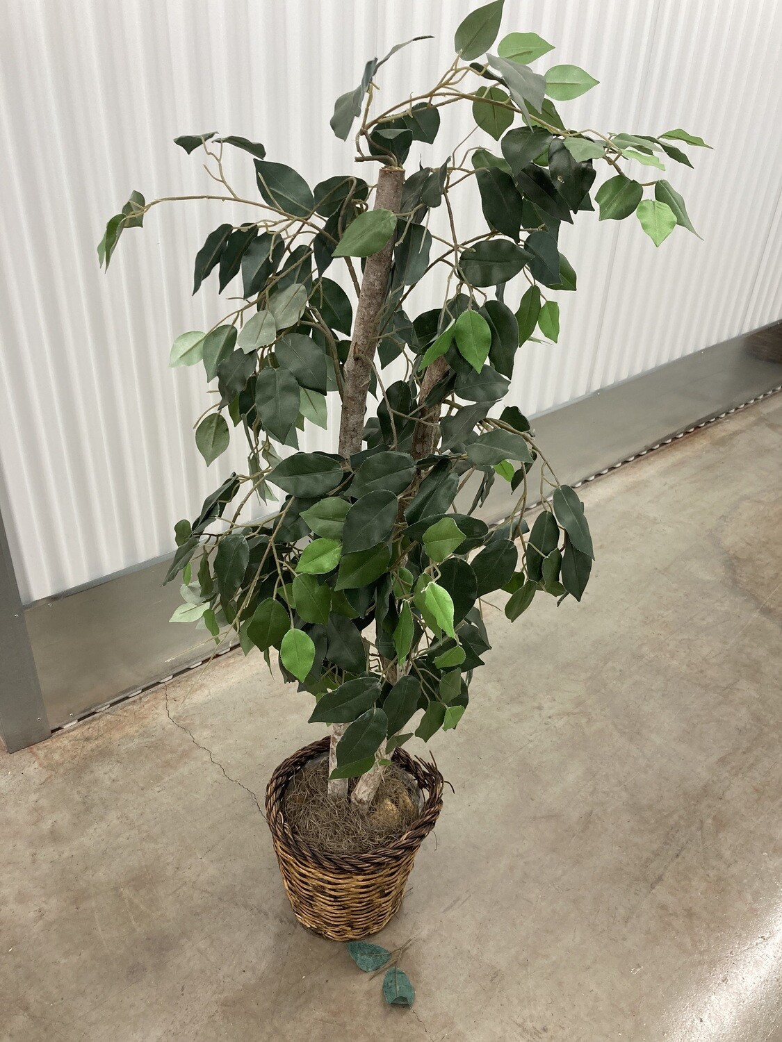 4 ft Artificial Ficus, needs new basket #2138