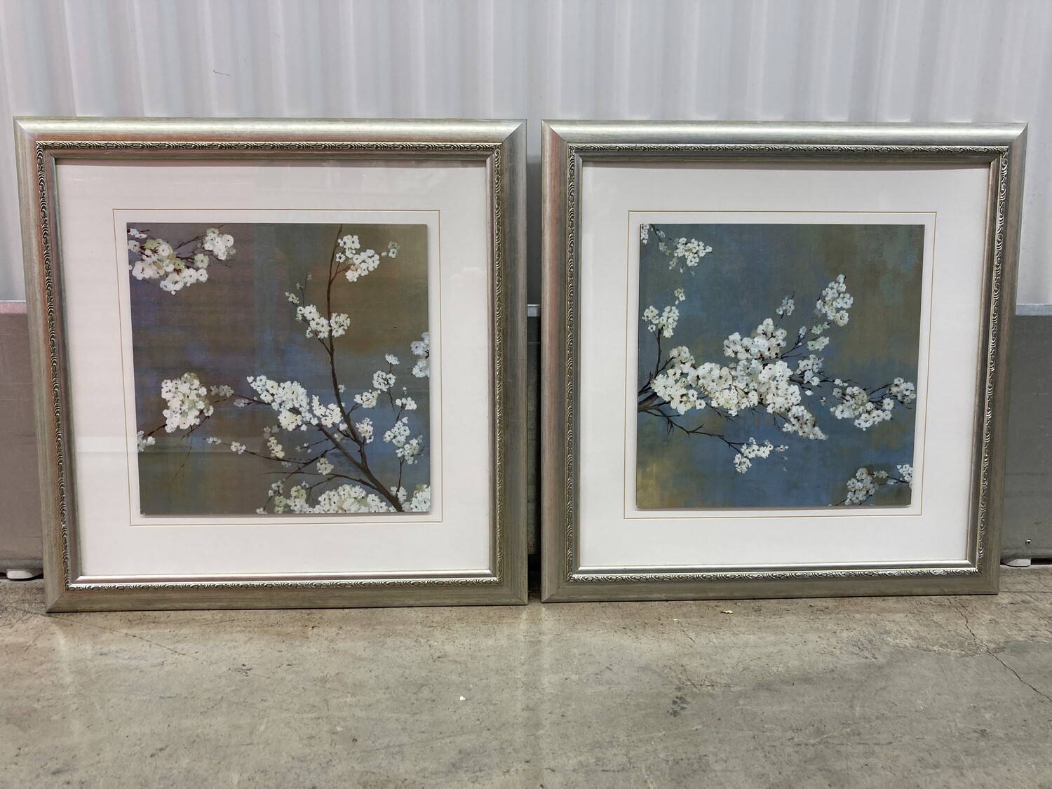 2 Framed Prints: White Cherry Blossoms #2999