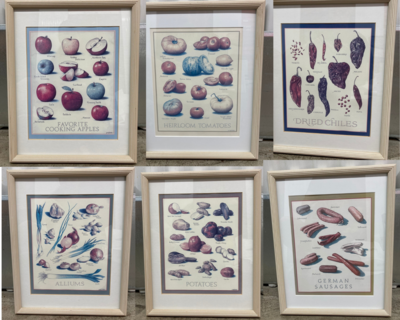 Framed set of 6 Cook's Illustrated Prints #2314