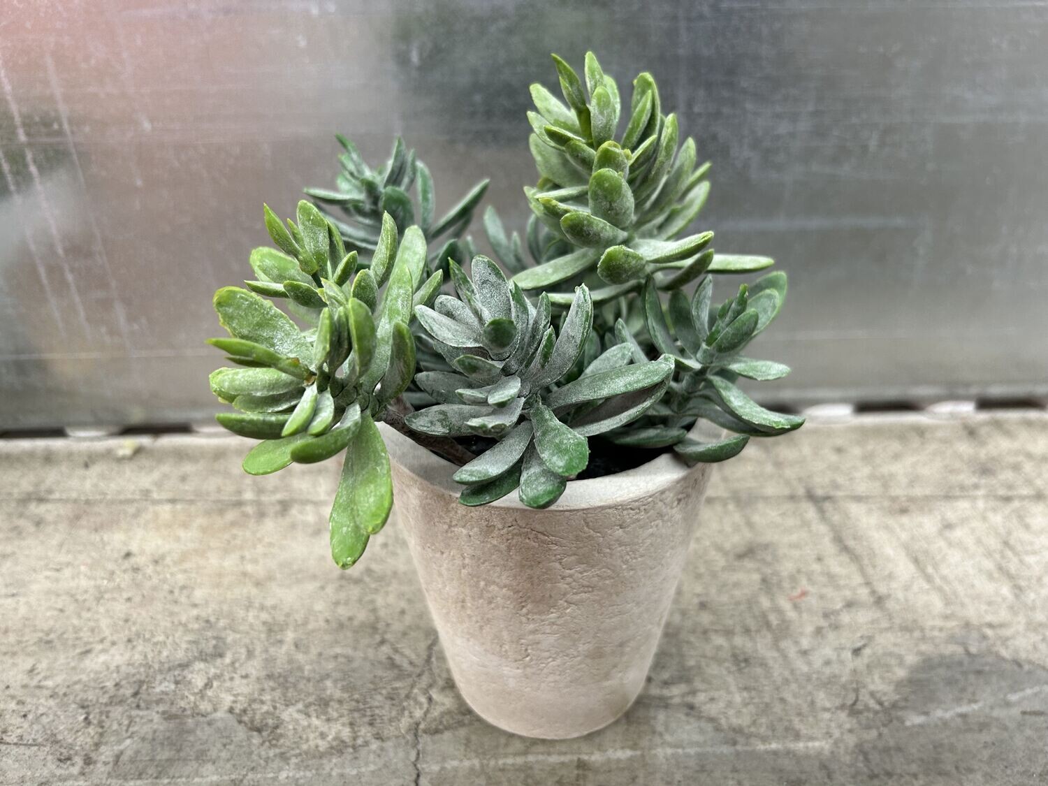 Like New! Planter, tan resin w/ artificial Jade Plant #2314 ** 3 days to sell, full price