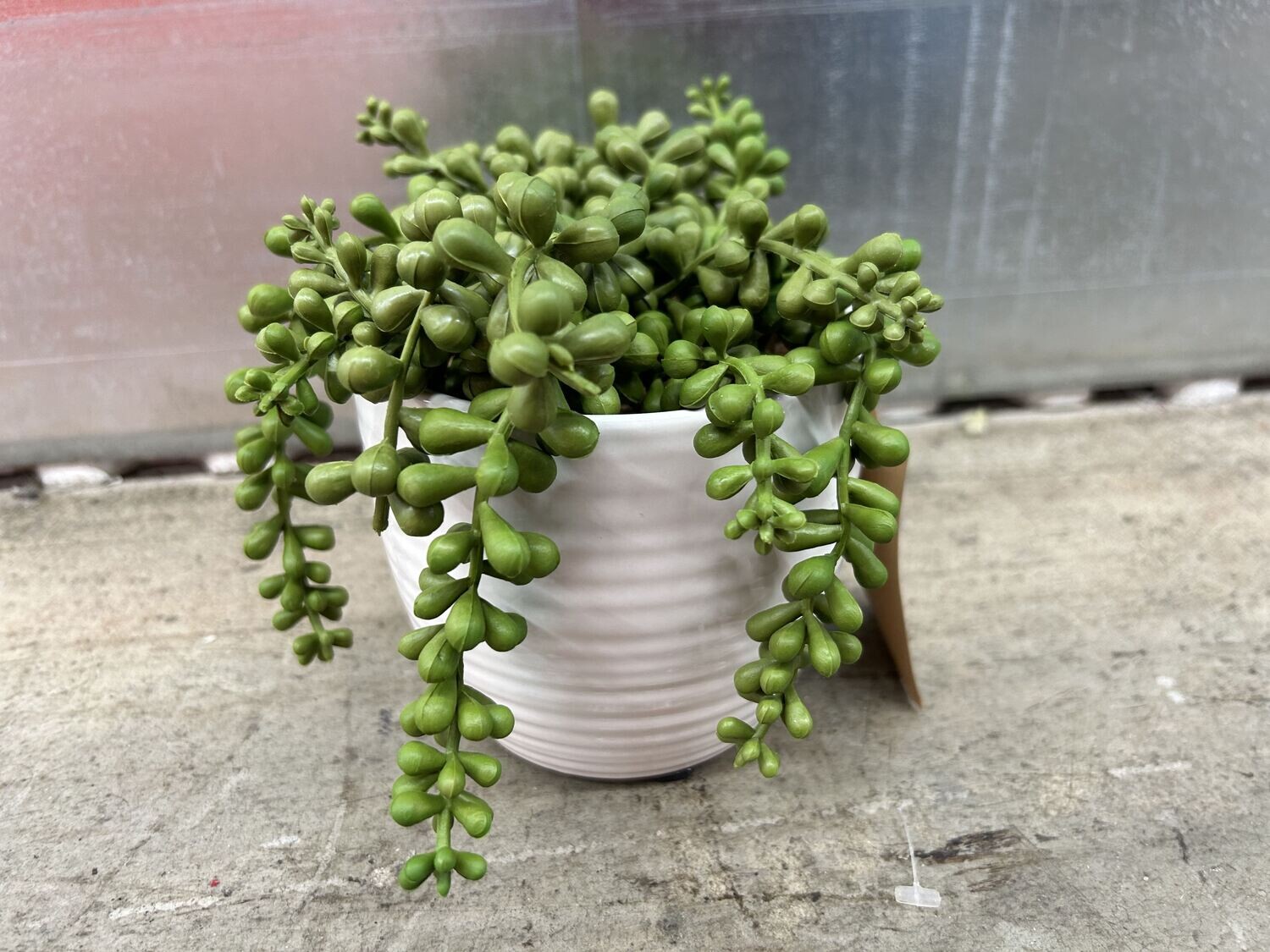Like New! Planter, white ceramic w/ artificial "String of Pearls" #2314 ** 3 days to sell, full price