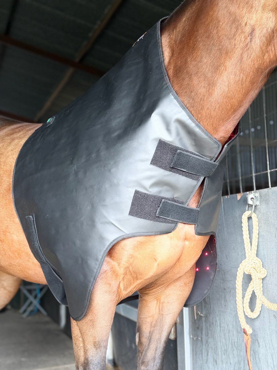 KR Elite Stride - “FreeStride” Wither/Shoulder Wrap KR Elite Stride - “FreeStride” Wither/Shoulder Wrap