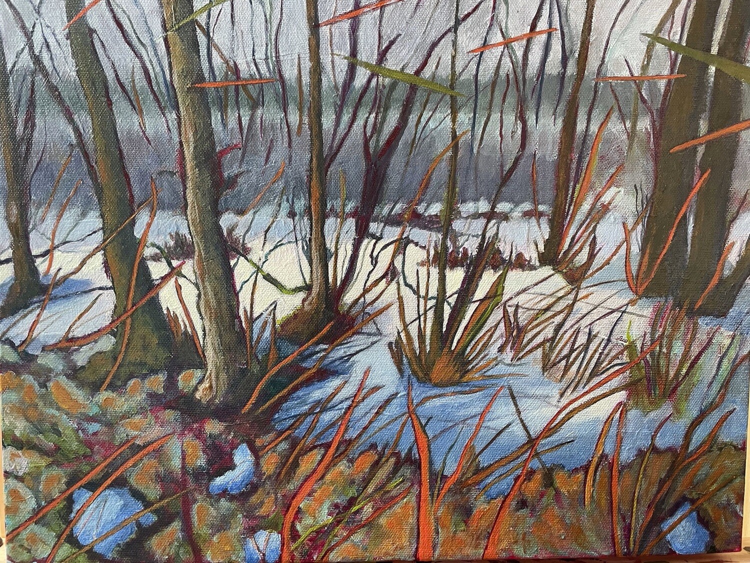 Winter Bog by Tassie Notar
