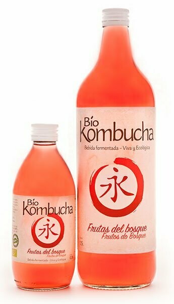 kombucha de frutas