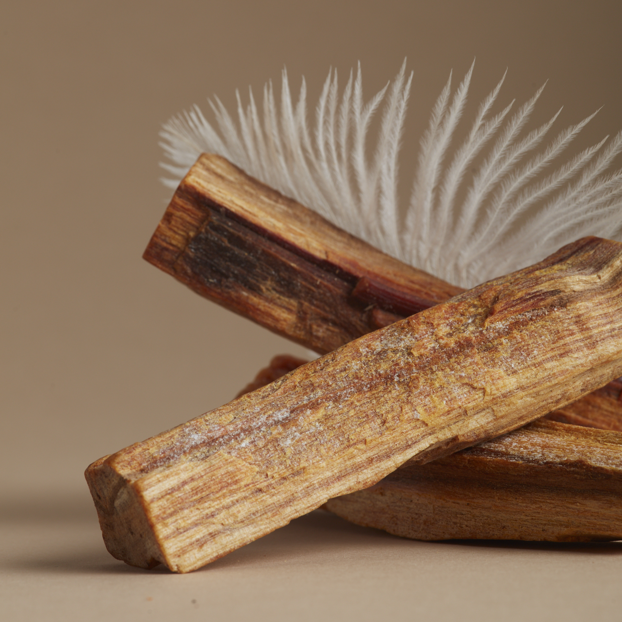 палочка с пером 5 букв. письменность на бересте. палочка с пером для ласк. писание на бересте в древней руси. палочка с пером 5 букв.