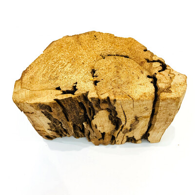 Насыщенный пенек дерева пало санто №22 (435 гр)