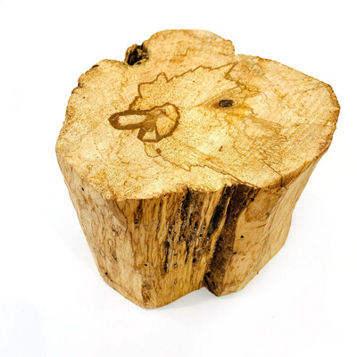Насыщенный пенек дерева пало санто №25 (578 гр)