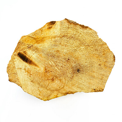Насыщенный пенек дерева пало санто №1 (371 гр)