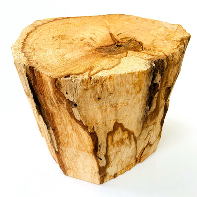 Насыщенный пенек дерева пало санто №2 (390 гр)