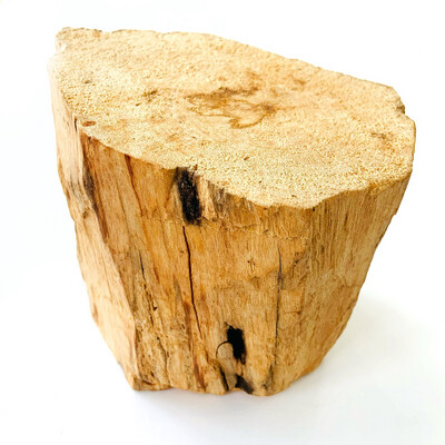 Насыщенный пенек дерева пало санто №3 (397 гр)