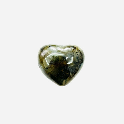 Сердце лабрадор, 1 шт (70 гр)