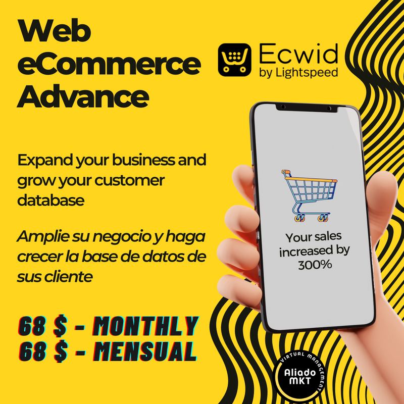 Web Development eCommerce ADVANCE