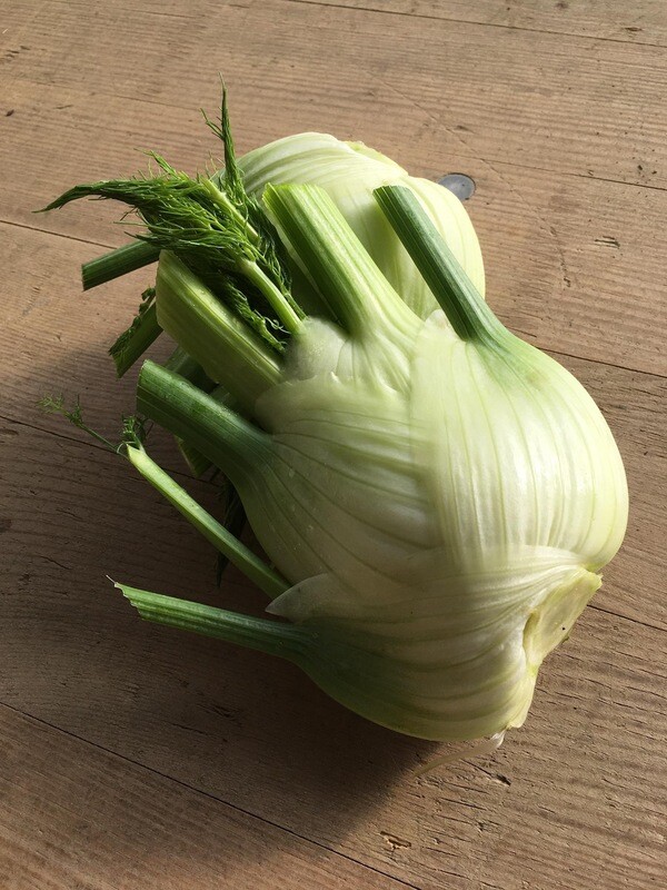 Fenchel (pro Stück)