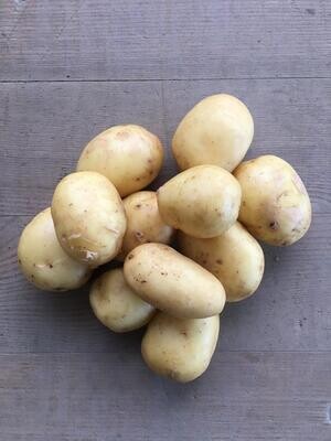 Frühkartoffeln gross (1 kg)