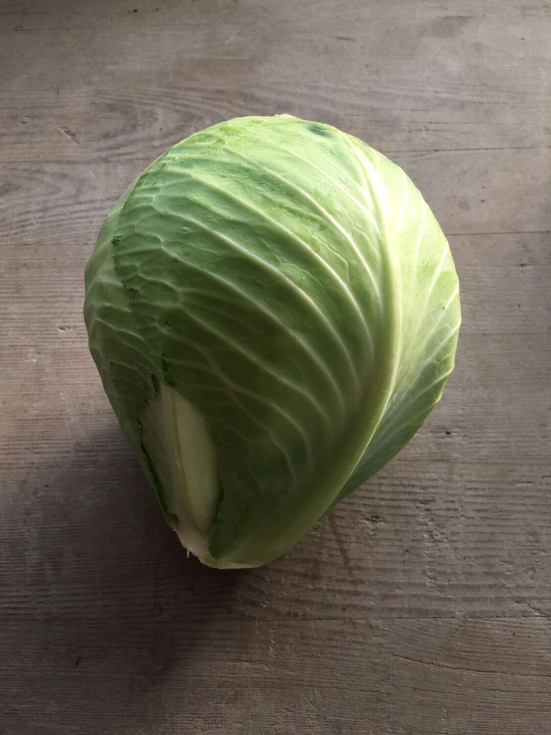 Kabis weiss (pro Stück)