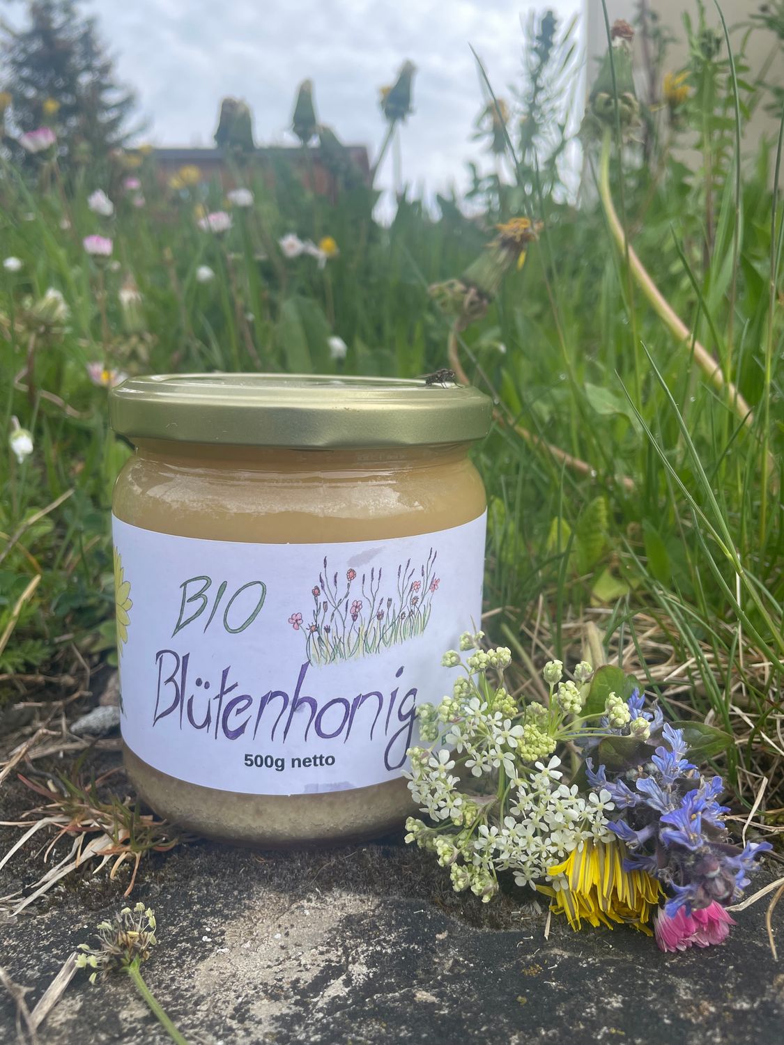 Bio Honig (Glas à 500 g)