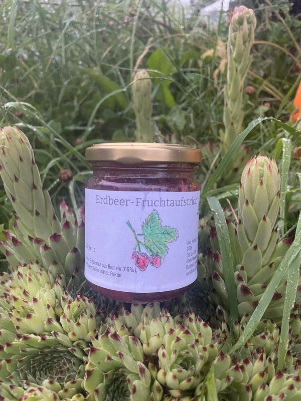 Erdbeer-Fruchtaufstrich (Konfitüre) 200g