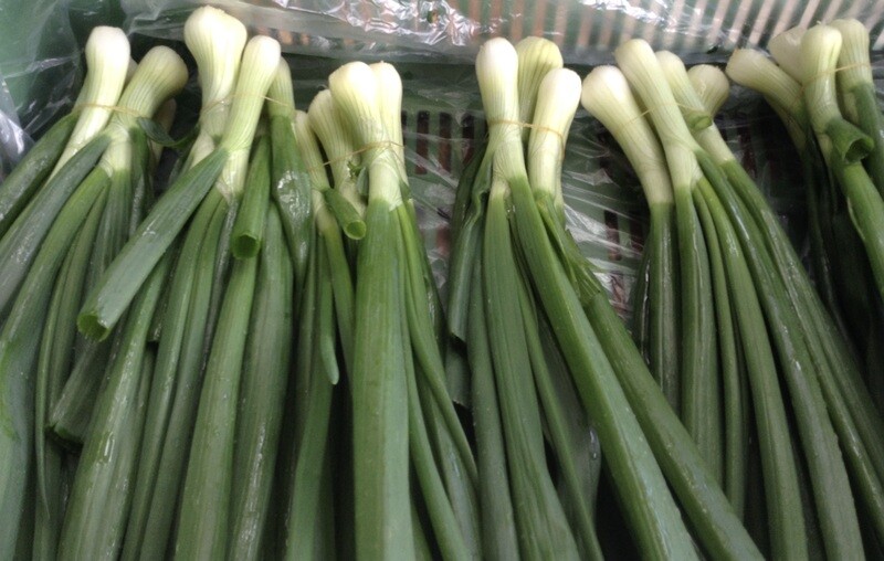 Bundzwiebeln (pro Bund)