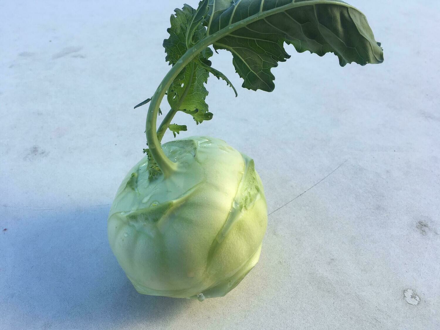 Kohlrabi (pro Stück)