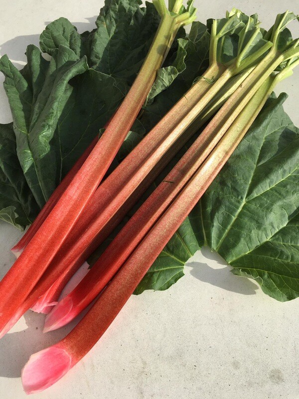 Rhabarber (1kg)