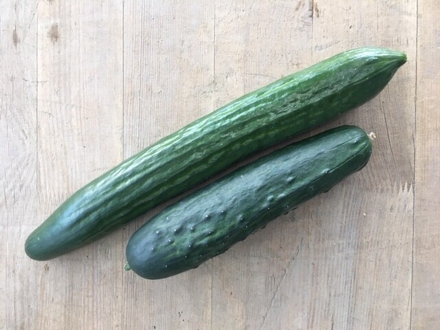 Gurke (pro Stück)
