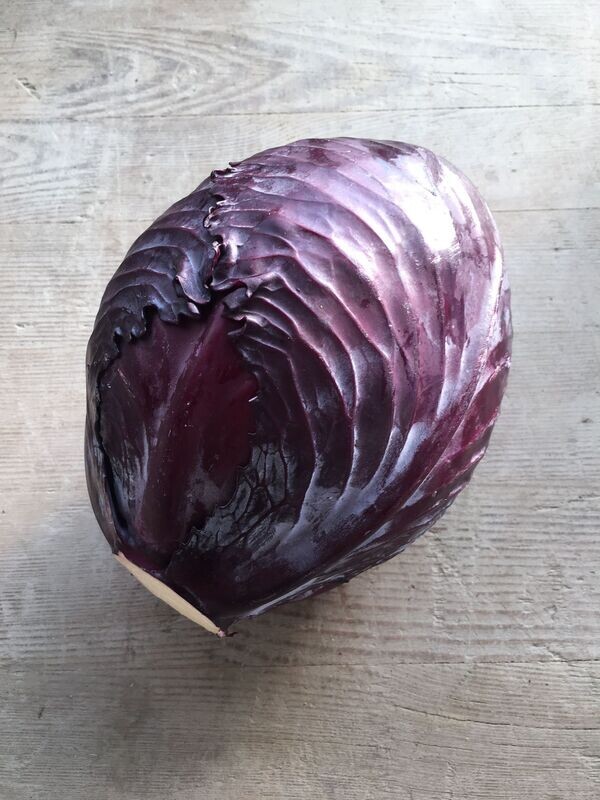 Kabis rot (pro Stück)