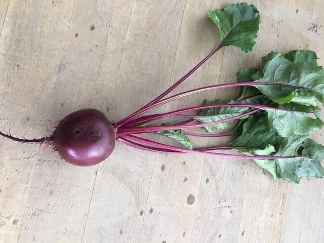 Randen, rot  (1 kg)
