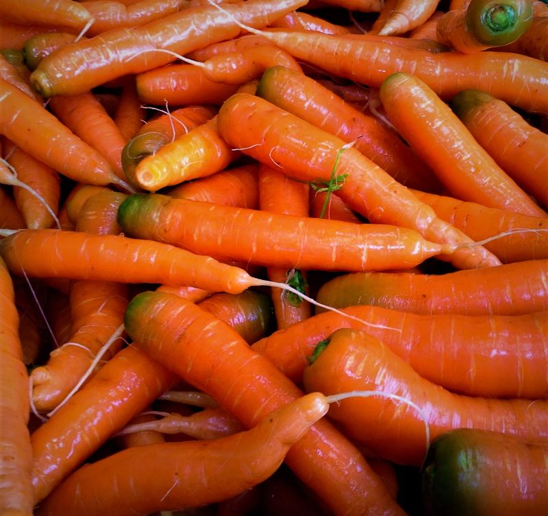 frische Rüebli (1 kg)