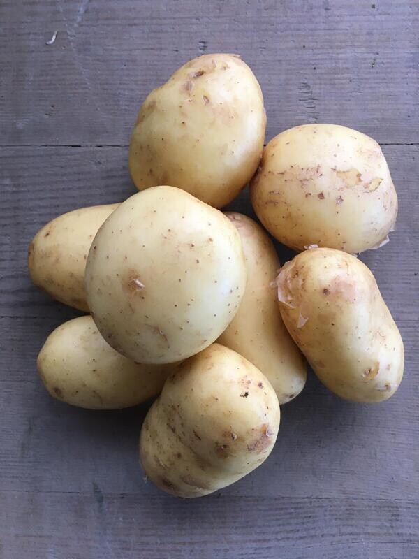 frische Kartoffeln, festkochend (1 kg)  klein